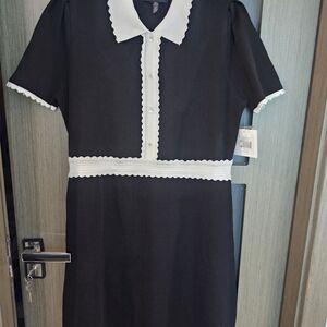 Ellen Tracy Black White Dress with Collar Size XL